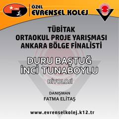 Evrensel Kolej